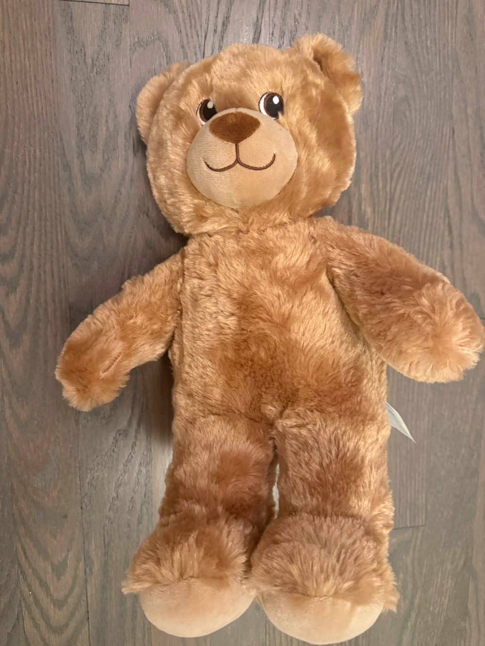 Build-A-Bear Workshop Classic Brown Teddy Bear Plush